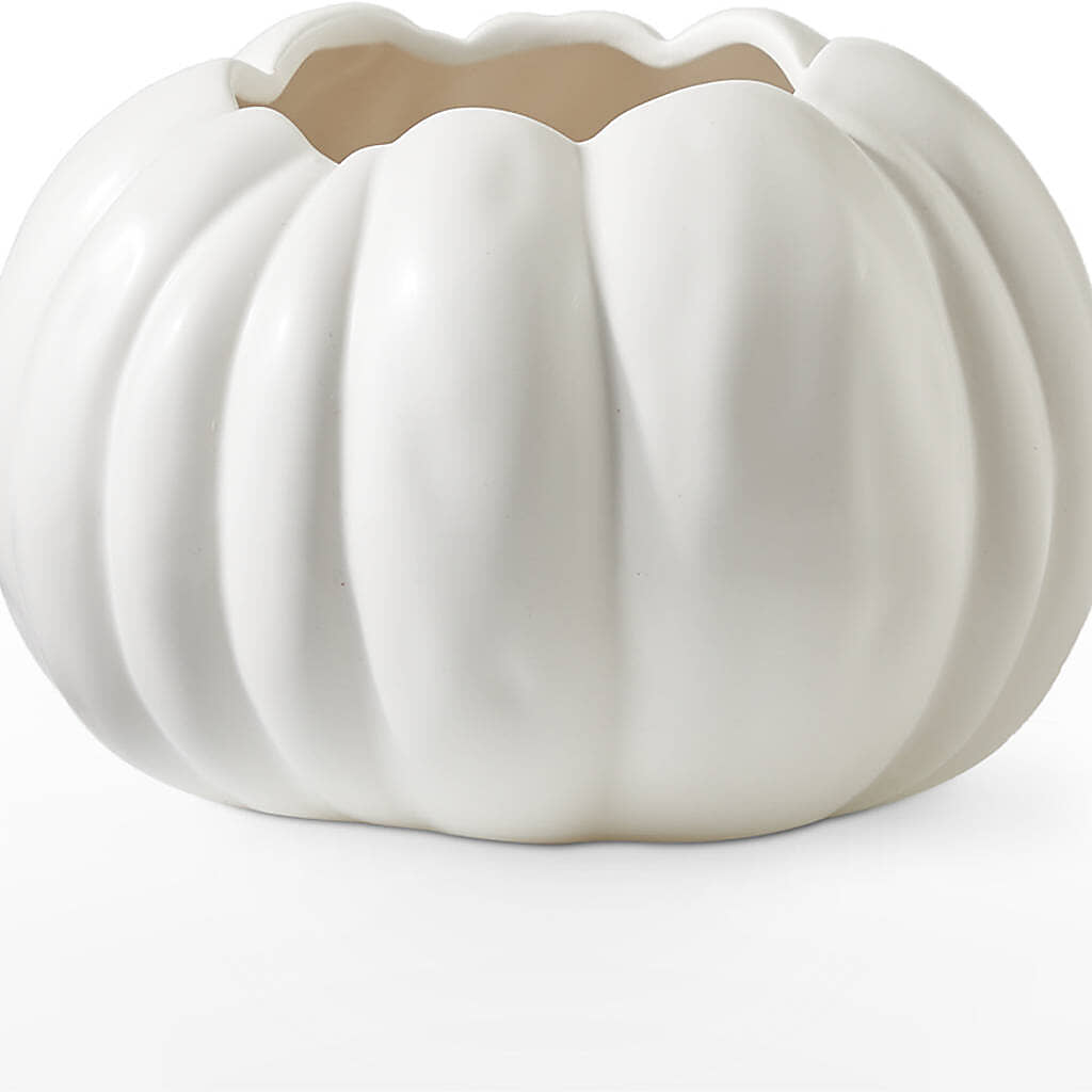 Pumpkin to Talk About Bouquet –  Ashland Floral Gardens Llc, Ashland OH